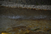 Clicca qui per vedere l'immagine in dettaglio
